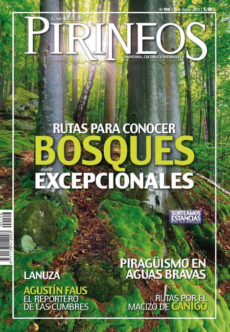 PORTADA 106