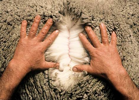 icebreaker-brand-merino-fib