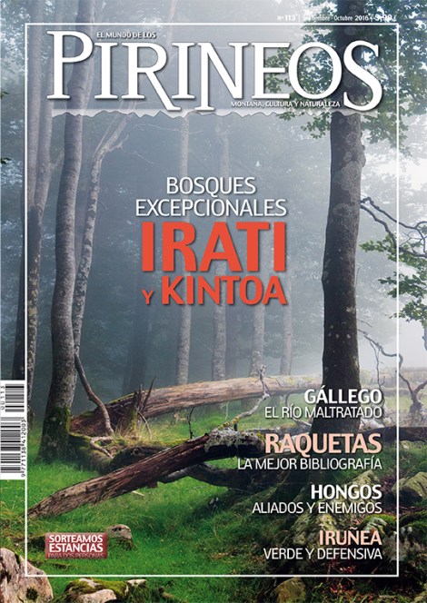 PORTADA 113.jpg